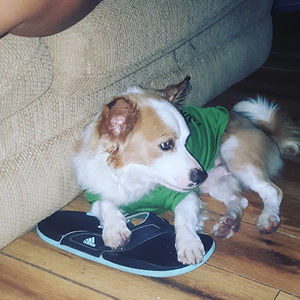 Meet your Posher, 31